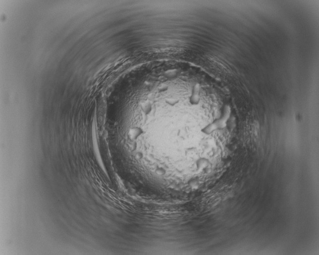 X0000057100917200509161651