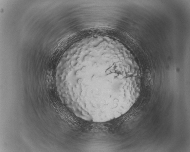 X0000057100918200509161651