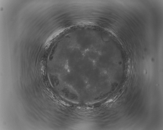 X0000057100919200509161651