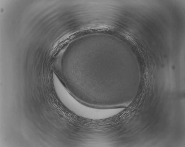 X0000057100920200509161651