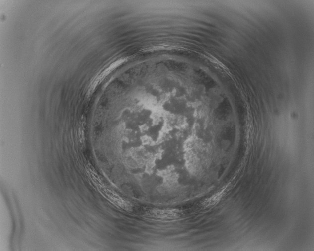 X0000057100921200509161651