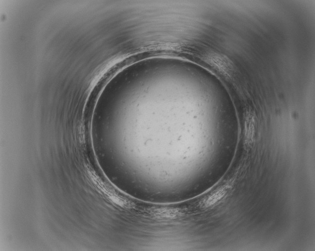 X0000057100924200509161651