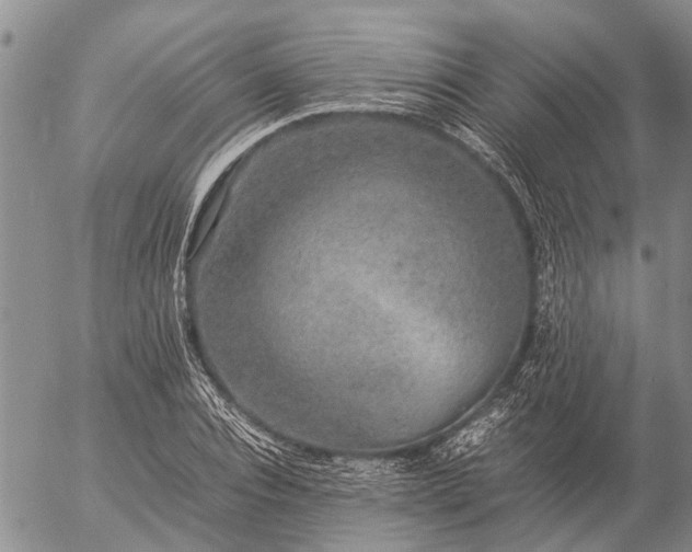 X0000057100928200509161651