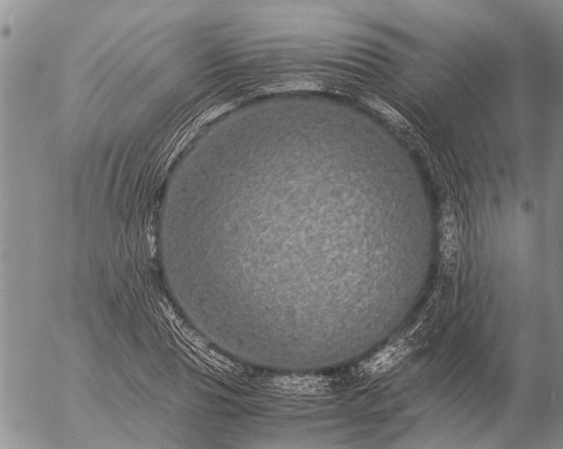 X0000057100929200509161651