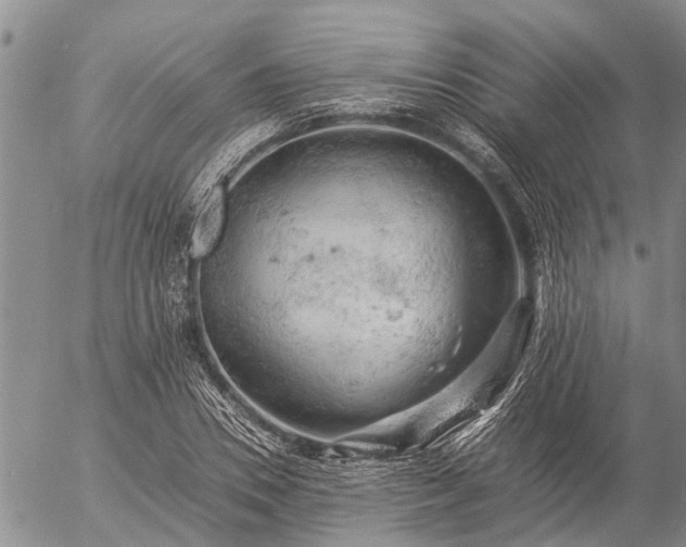 X0000057100930200509161651