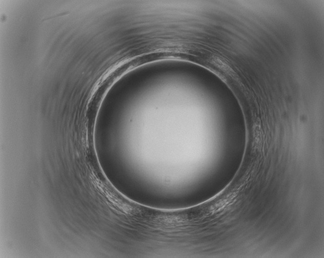 X0000057100931200509161651