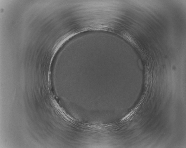 X0000057100932200509161651