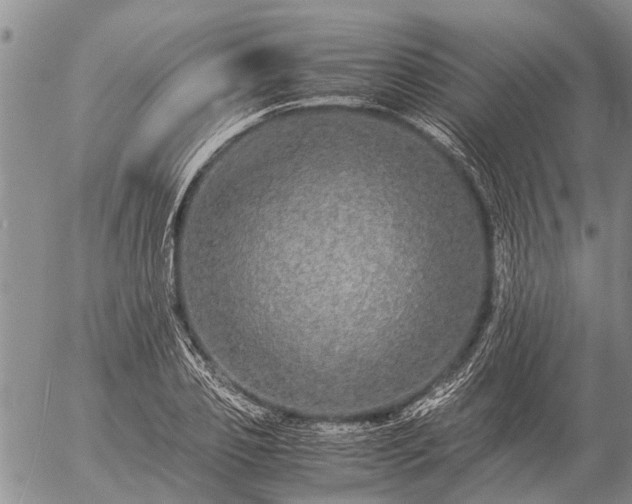 X0000057100933200509161651