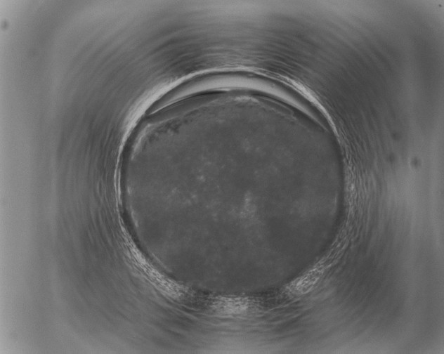 X0000057100935200509161651