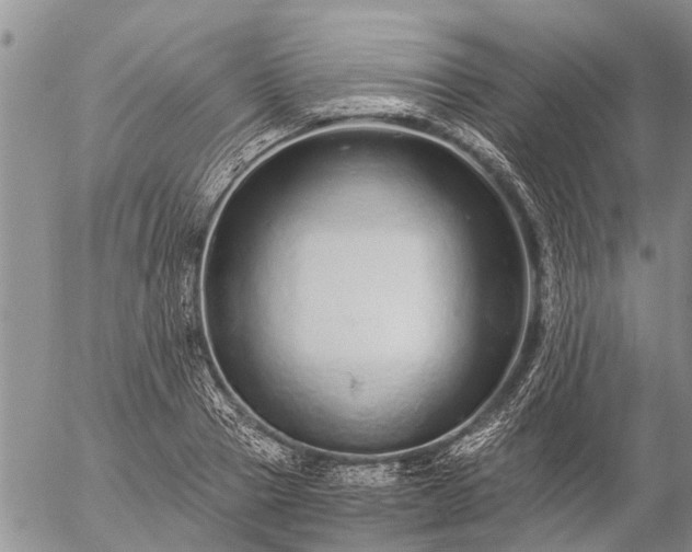 X0000057100937200509161651