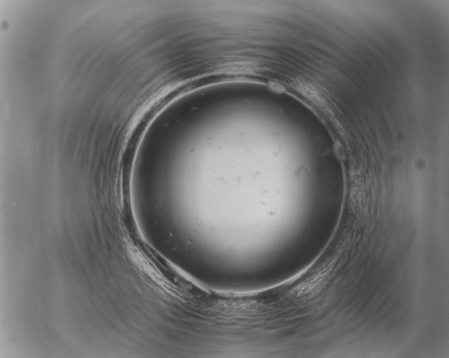 X0000057100939200509161651