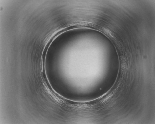 X0000057100940200509161651