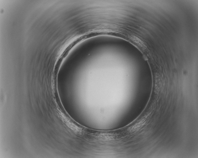 X0000057100942200509161651