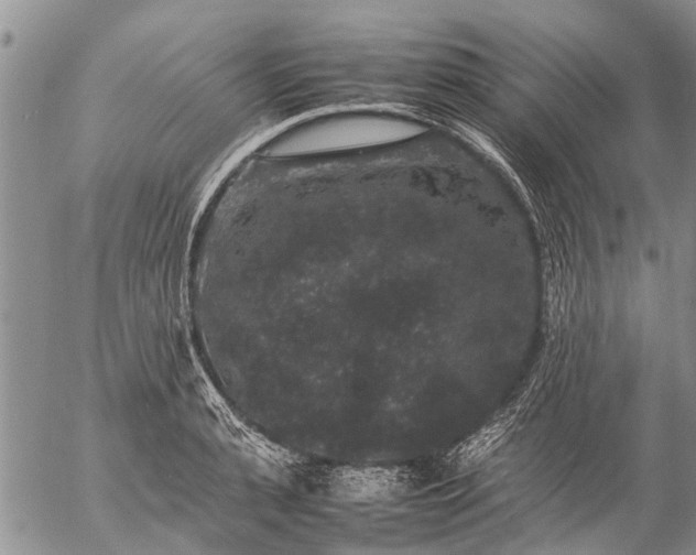 X0000057100943200509161651