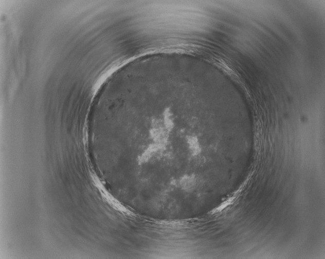 X0000057100944200509161651