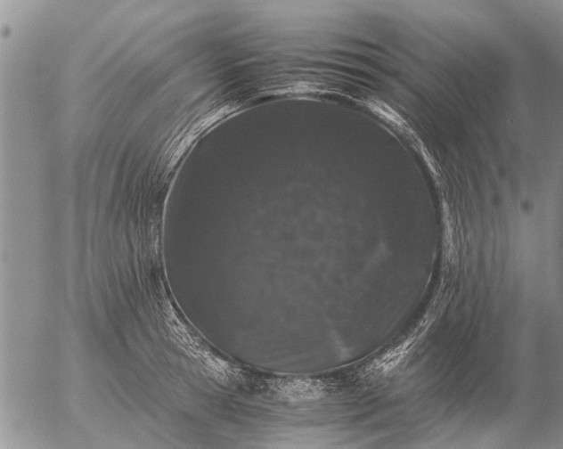 X0000057100945200509161651