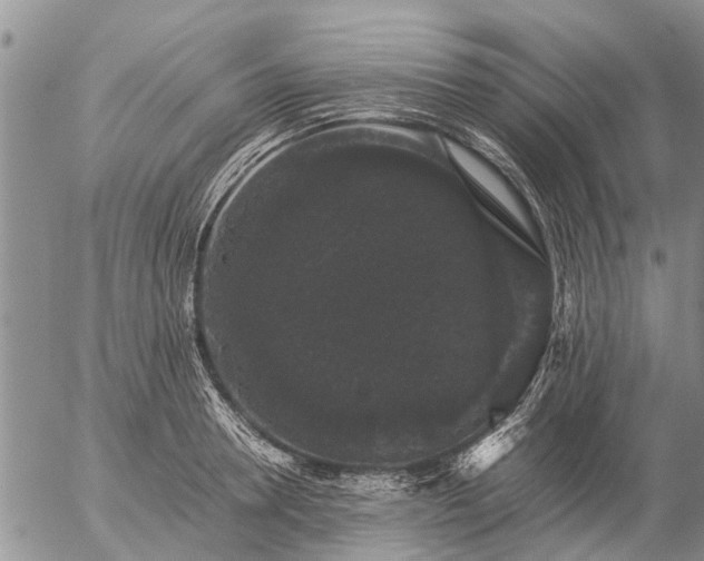 X0000057100946200509161651