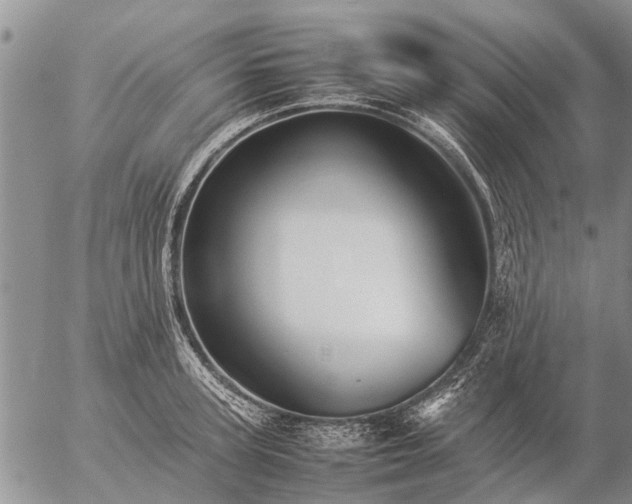 X0000057100947200509161651