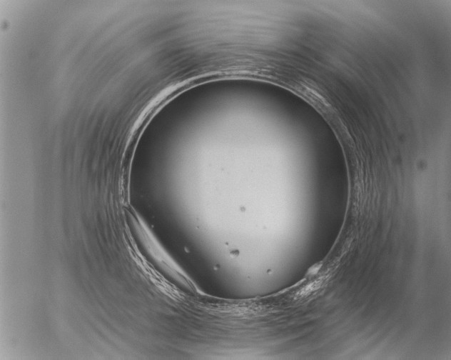 X0000057100948200509161651