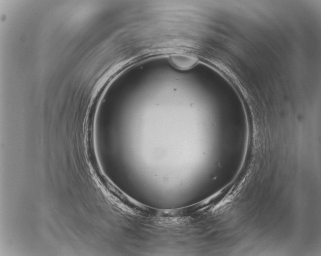 X0000057100949200509161651