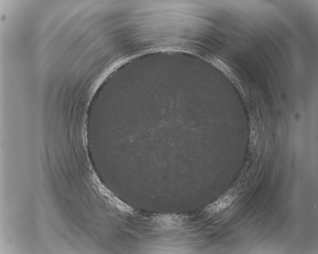 X0000057100950200509161651