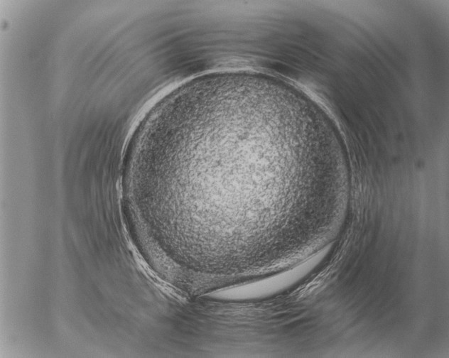 X0000057100951200509161651