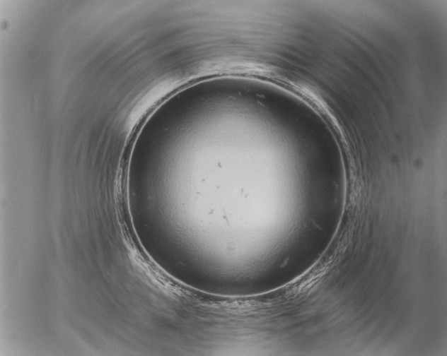 X0000057100952200509161651