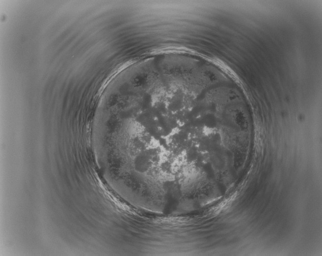 X0000057100953200509161651