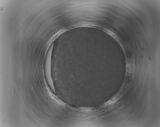 X0000057100954200509161651