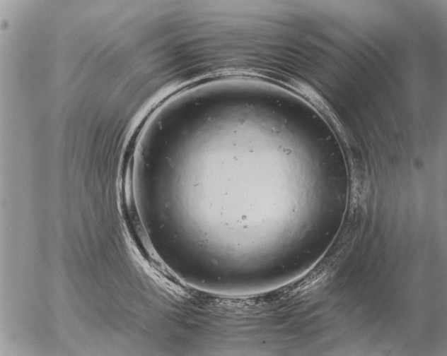 X0000057100955200509161651