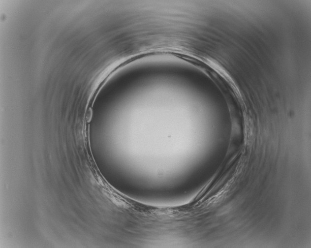 X0000057100956200509161651