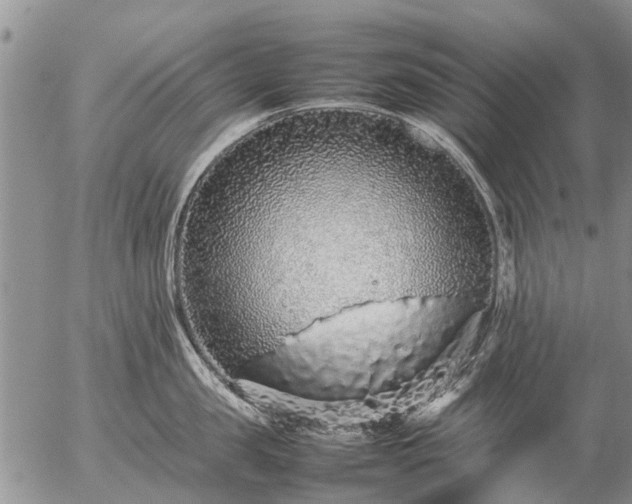 X0000057100957200509161651