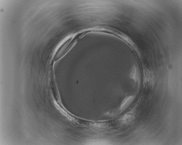 X0000057100958200509161651