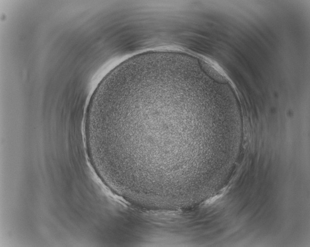 X0000057100959200509161651