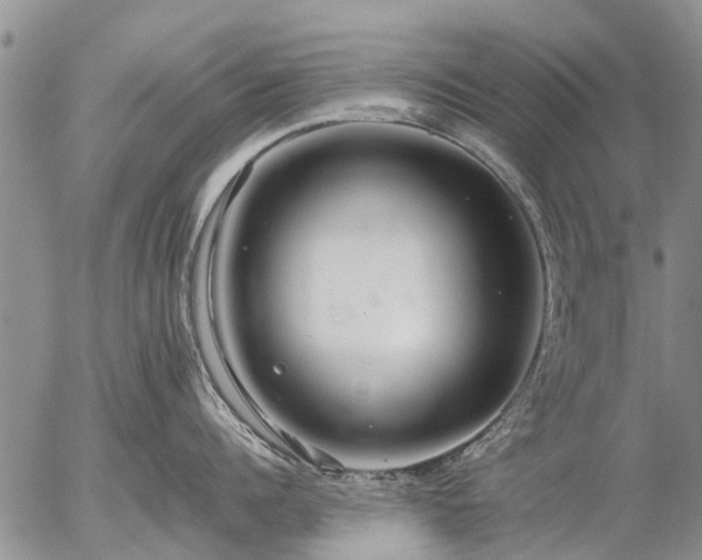 X0000057100960200509161651