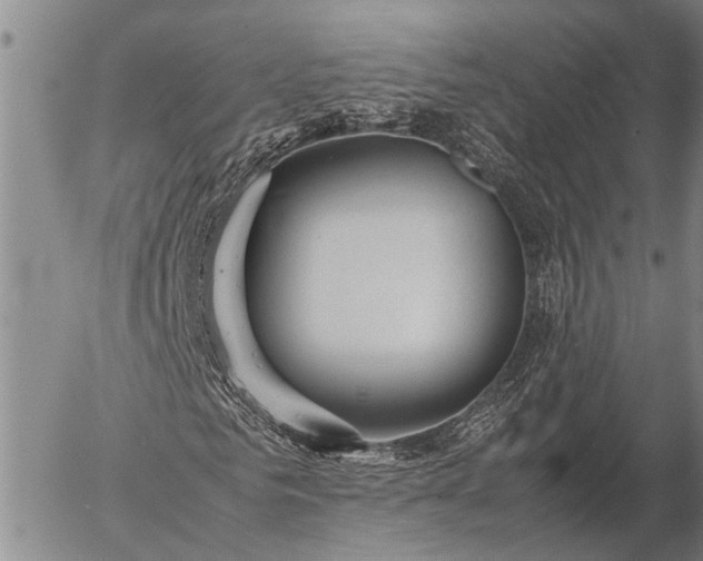 X0000057100961200509161650