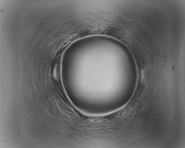 X0000057100963200509161650