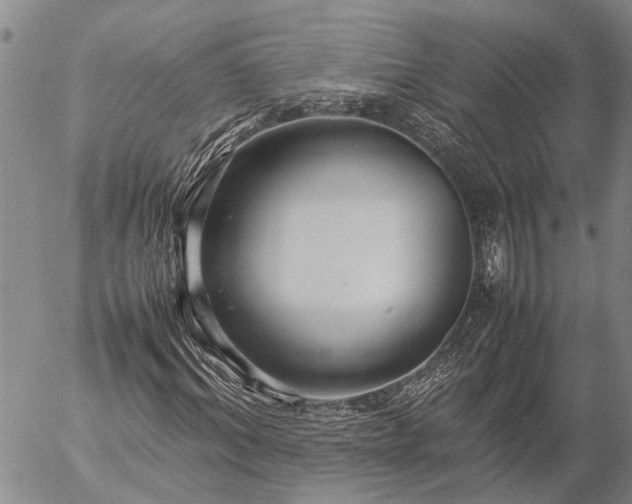 X0000057100964200509161650