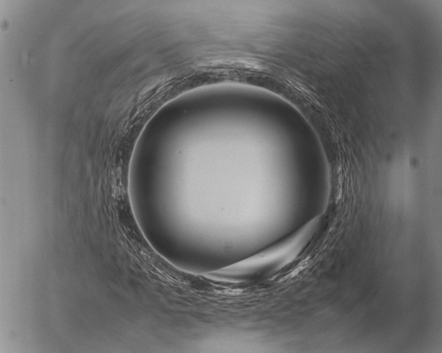 X0000057100965200509161650