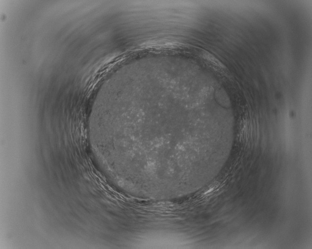 X0000057100966200509161650