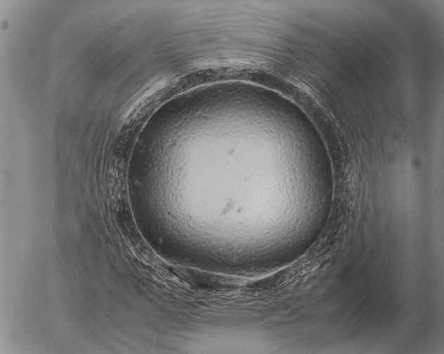 X0000057100967200509161650