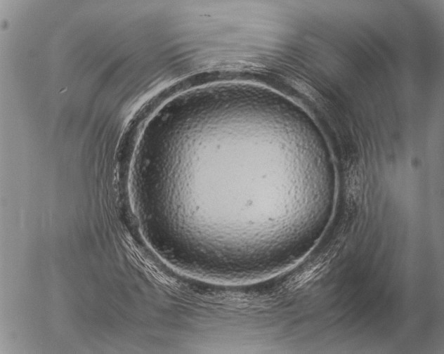 X0000057100971200509161650