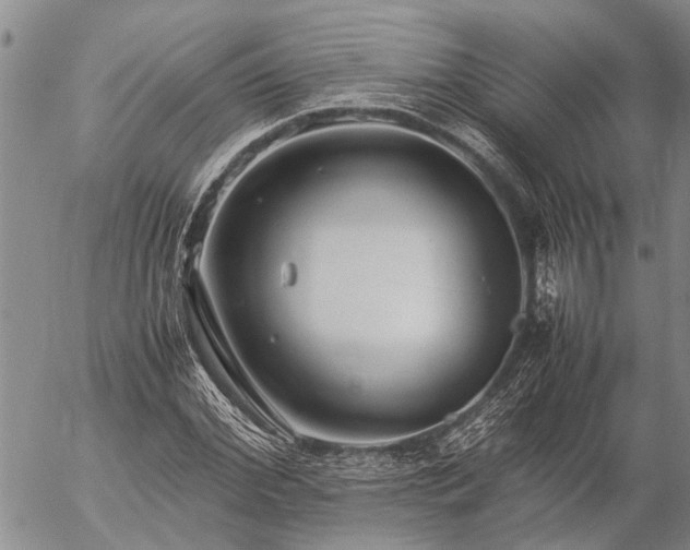 X0000057100972200509161650