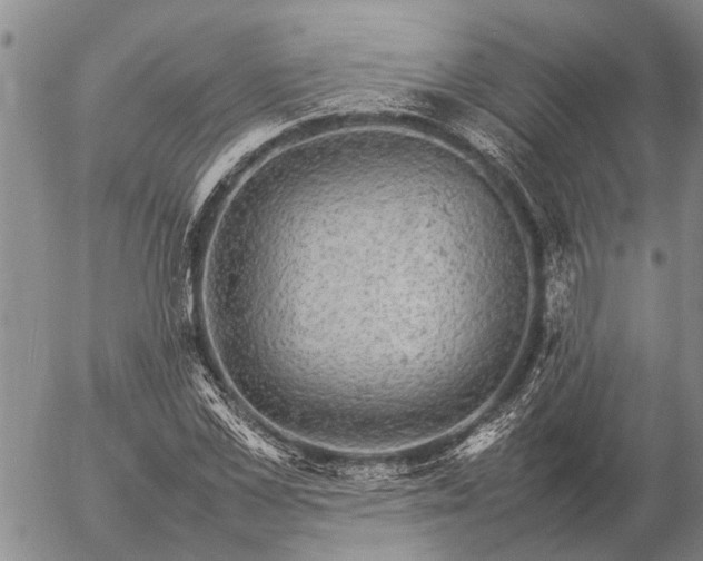 X0000057100973200509161650