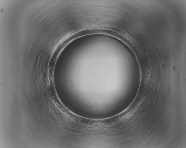 X0000057100974200509161650