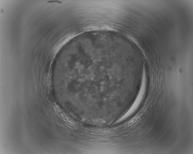 X0000057100975200509161650