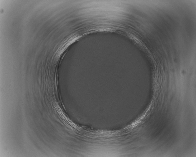 X0000057100977200509161650