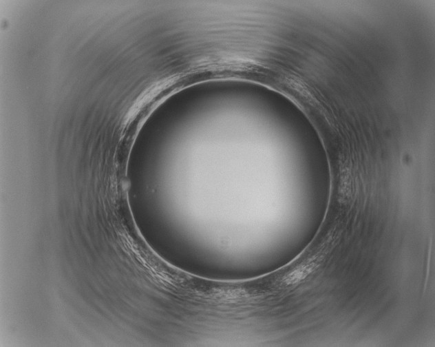 X0000057100978200509161650