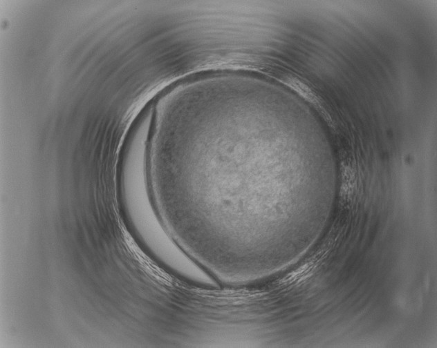 X0000057100980200509161650