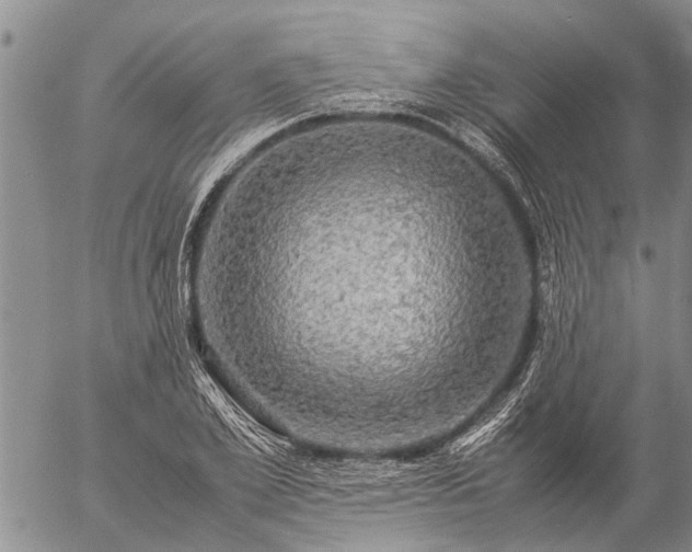 X0000057100981200509161650